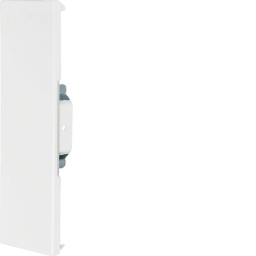BRS652106VERZ Placa inchidere BRS65210, otel,  galvanizat